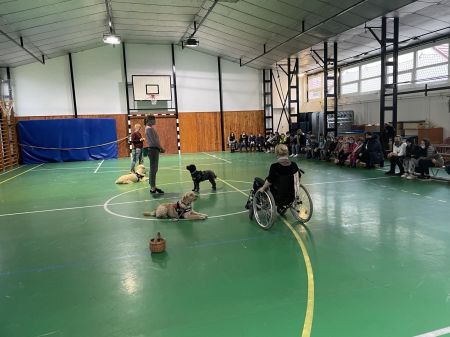 Nagy sikere volt a kutyás érzékenyítő programnak 